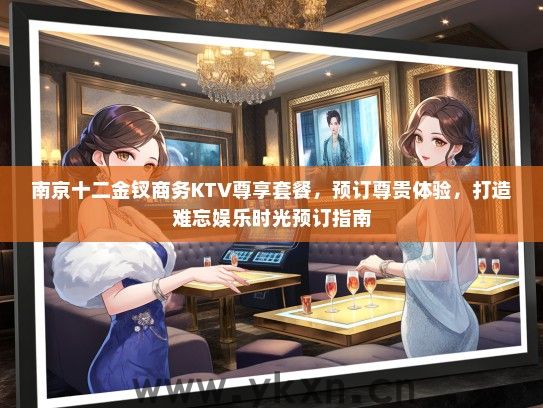 南京十二金钗商务KTV尊享套餐，预订尊贵体验，打造难忘娱乐时光预订指南